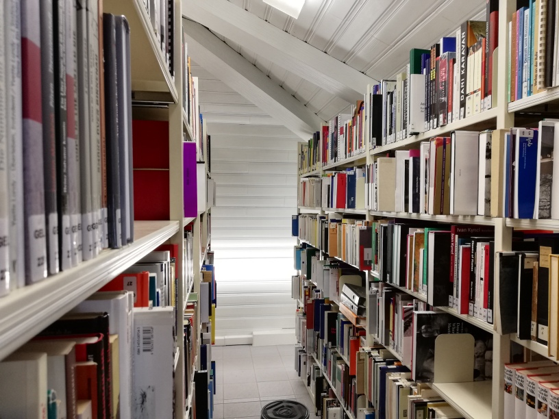 View of an aisle in the library. There are shelves with books on both sides.