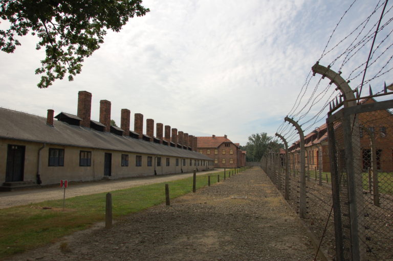 Gedenken der Opfer des Nationalsozialismus zum 70. Jahrestag der Befreiung des Vernichtungslagers Auschwitz