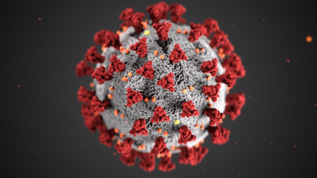 Illustration des Virus SARS-CoV-2/Corona