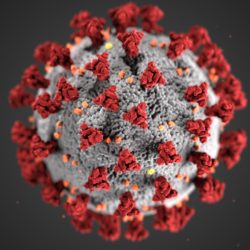 Illustration des Virus SARS-CoV-2/Corona